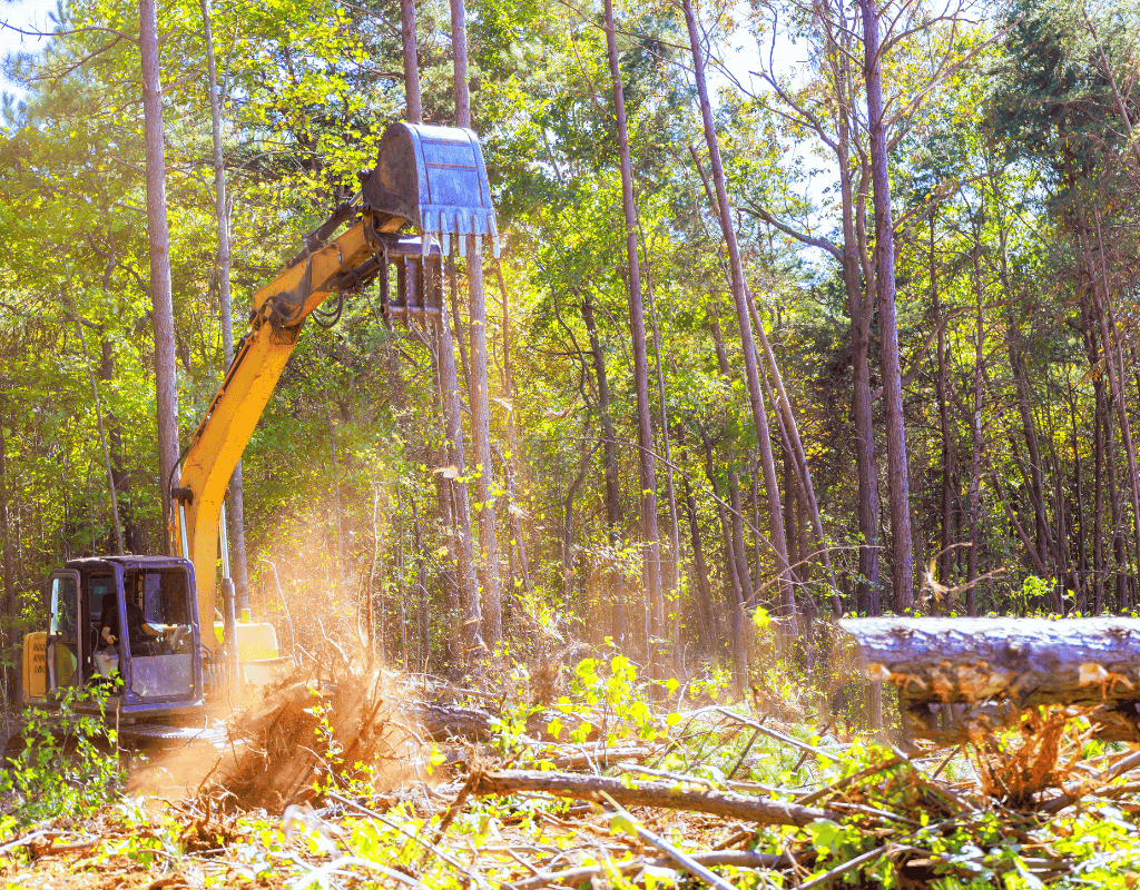 excavator cutting and mulching trees in dense forest area Wagoner County OK