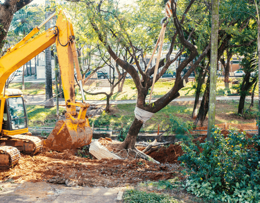 excavator removing large tree and roots from residential property Wagoner County OK