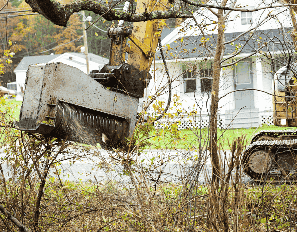 Brush and vegetation removal services in Wagoner County OK for clean and manageable land