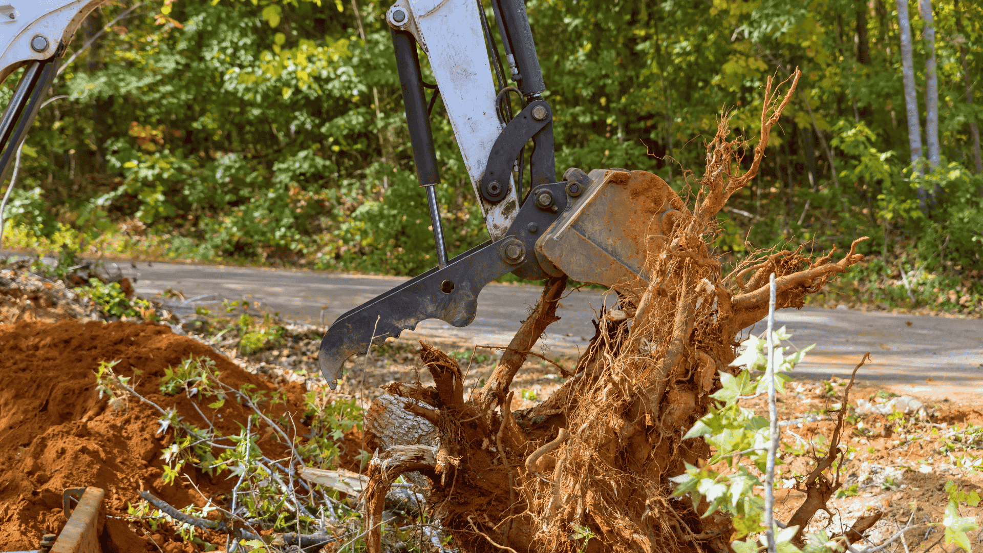 Brush removal services in Wagoner County OK clearing overgrown land and unwanted vegetation