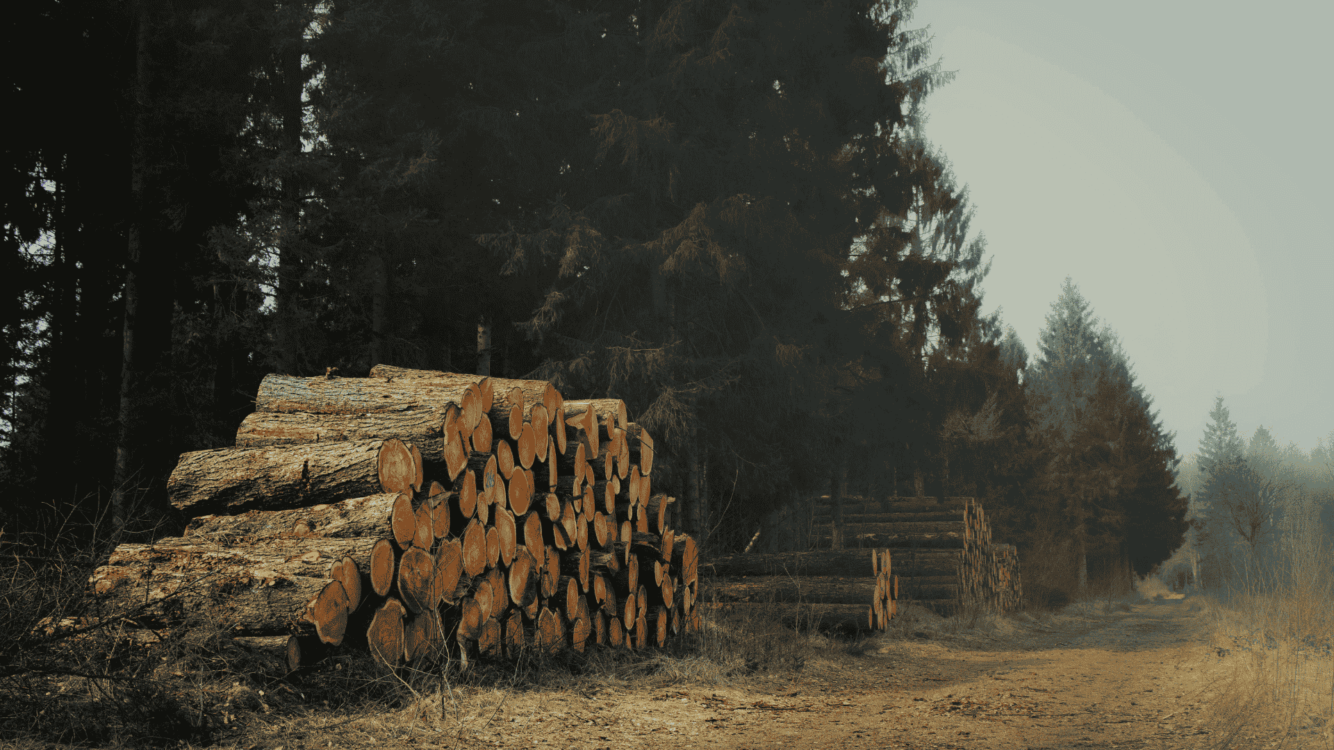 Forestry mulching services in Wagoner County OK to clear vegetation without damaging the soil