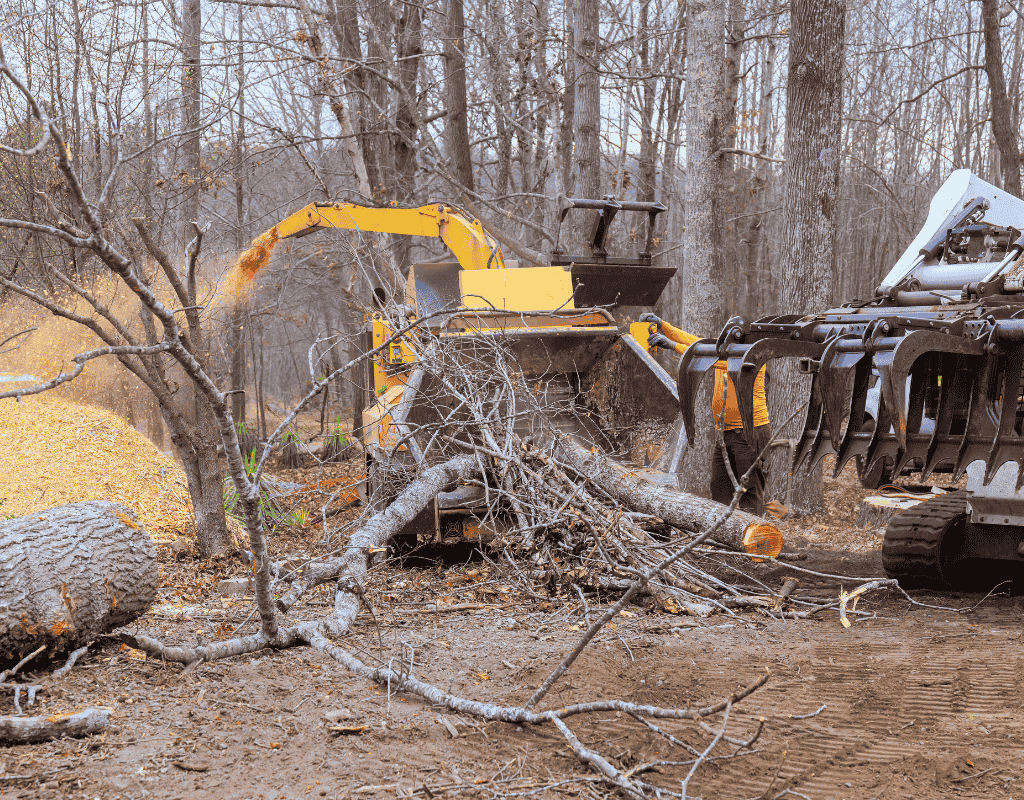 heavy equipment grinding trees and clearing wooded land in Wagoner County OK, Crew evaluating trees, brush, and terrain before precise land clearing work begins