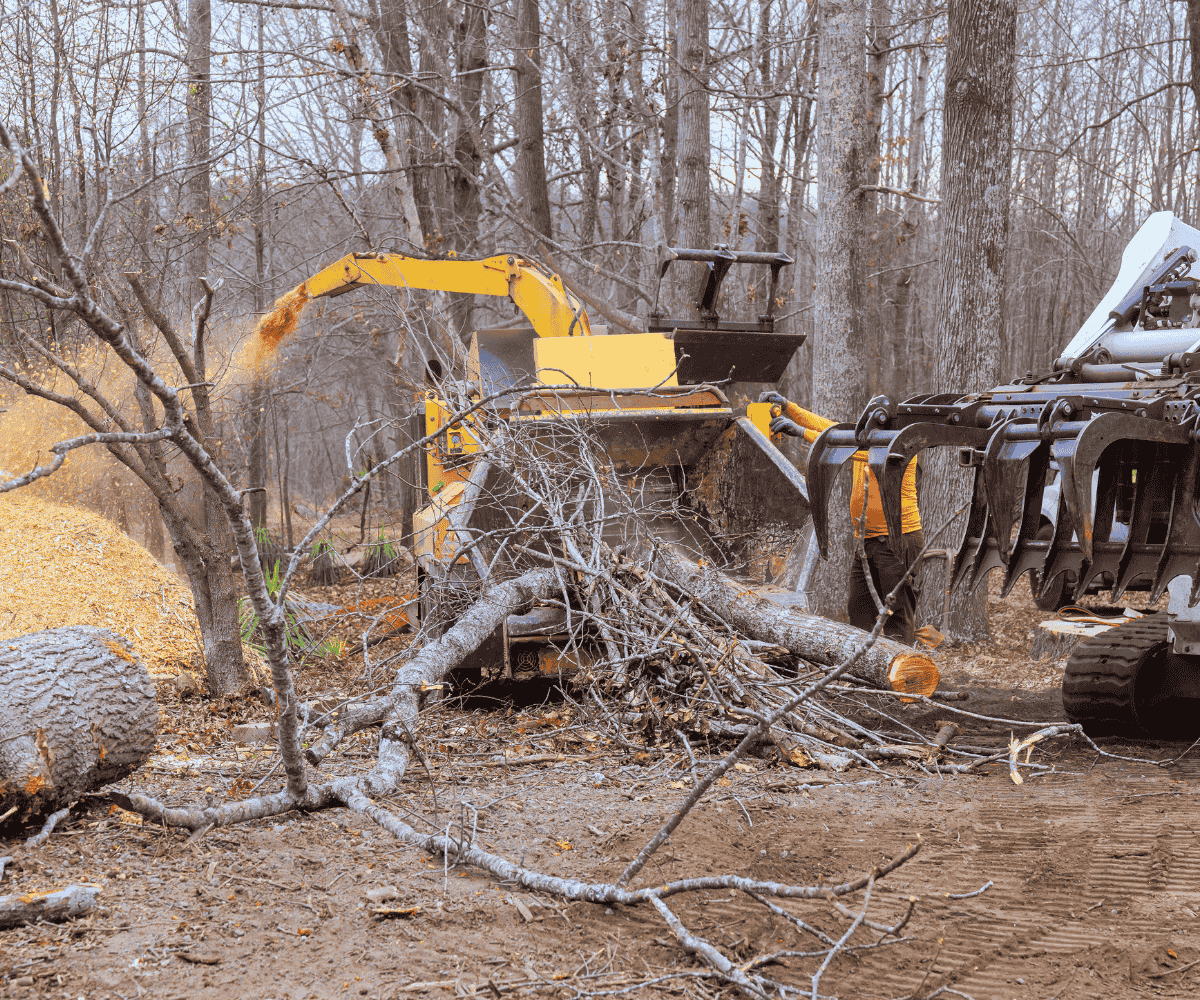 Forestry mulching and brush removal services in Wagoner County OK for fast and effective land clearing