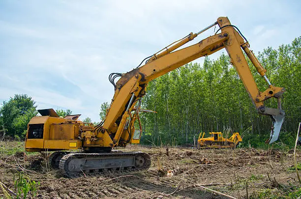 Skilled operator clearing wooded lot with controlled equipment placement and precision