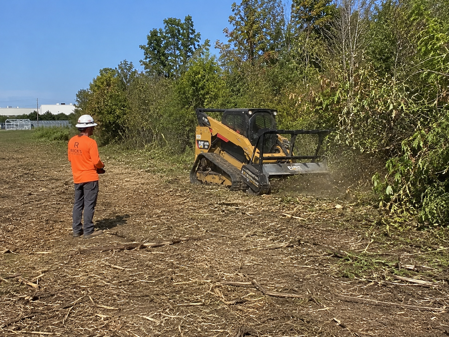 Skilled crew assessing dense vegetation and planning controlled brush clearing workflow