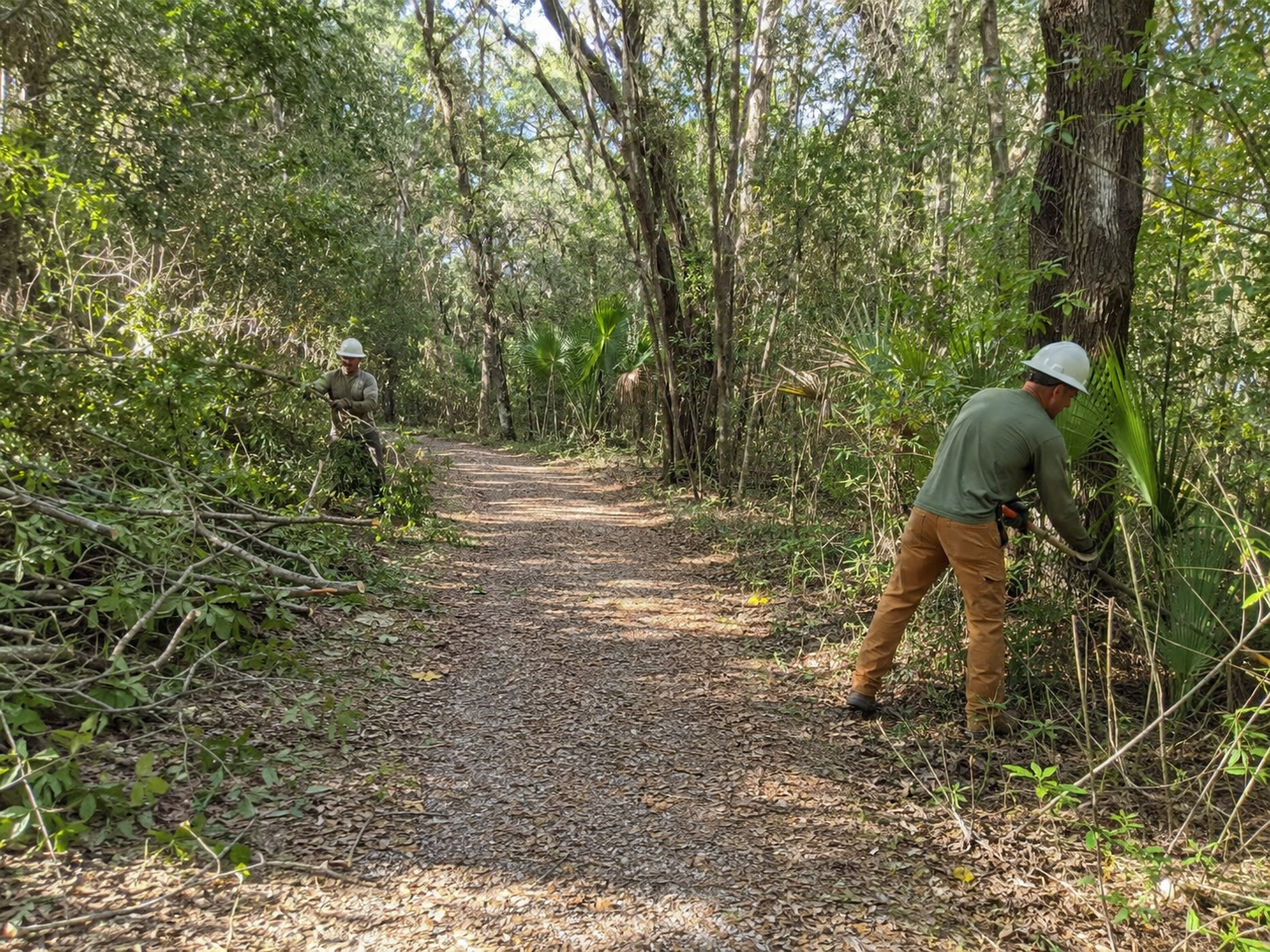 Brush removal crew opening access along overgrown Porter fence line near backyard shed