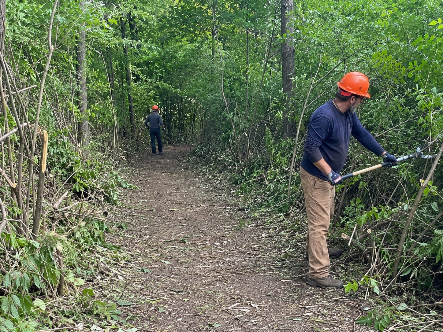 Brush removal crew clearing dense overgrowth beside backyard fence and storage shed