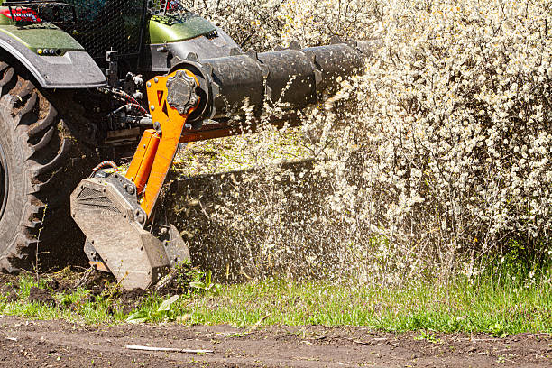 Forestry mulching machine clearing brush beside a rural driveway entrance in Coweta
