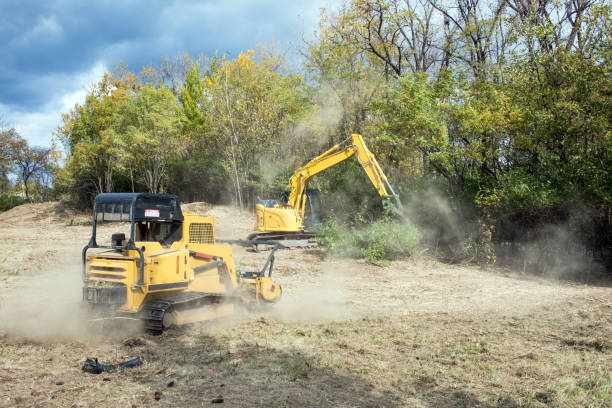 Operator carefully mulching dense brush to open a cleaner, more usable property area